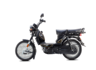 TVS XL100 HEAVY DUTY (BLACK)