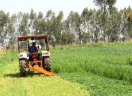 Forage Mower
