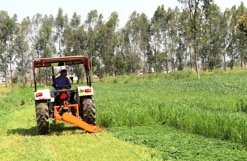 Forage Mower