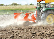 Reversible Manual Plough