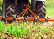 Double Coil Tyne Tiller