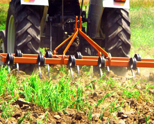Double Coil Tyne Tiller