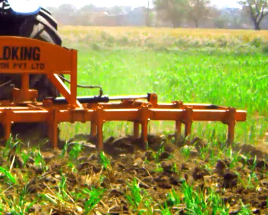 Heavy Duty Rigid Cultivator (B)