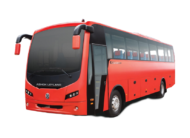 Freedom Bus