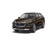 Grand Vitara (Cave Black Pearl Metallic)